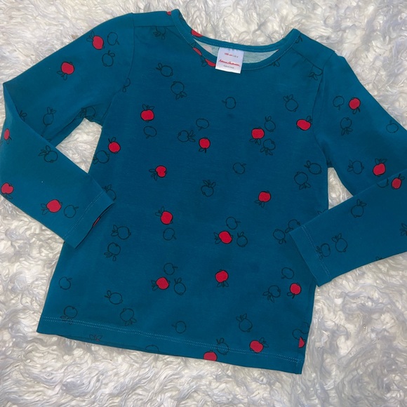 Good Used Condition Hanna Andersson teal apple long sleeve Sz 4 - Picture 1 of 3